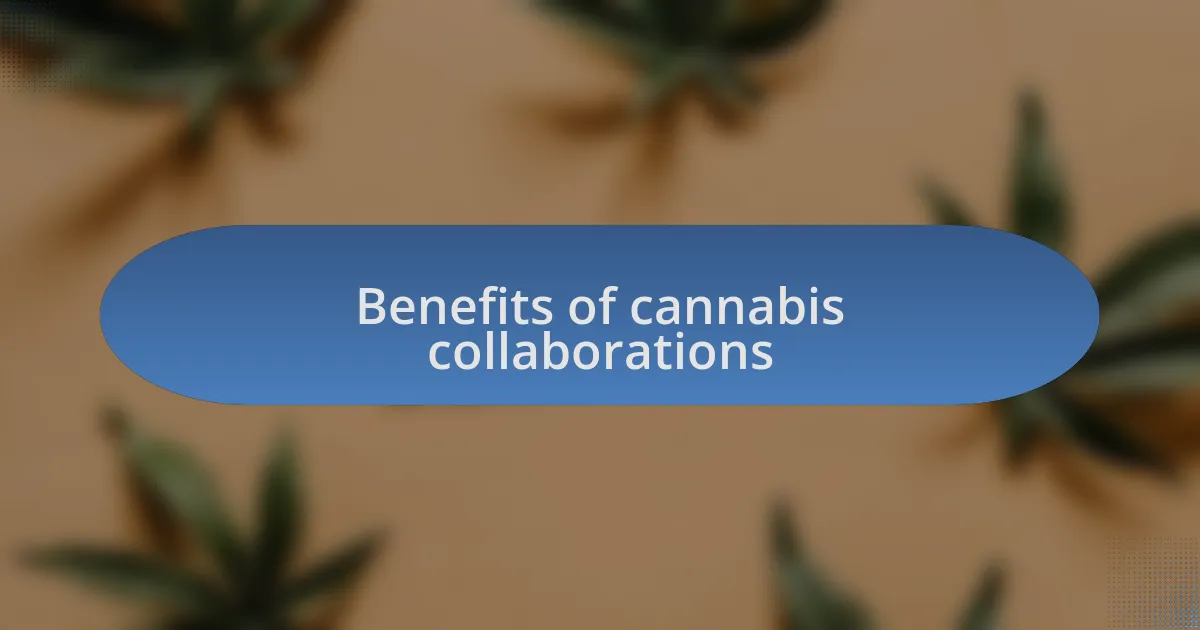 Benefits of cannabis collaborations