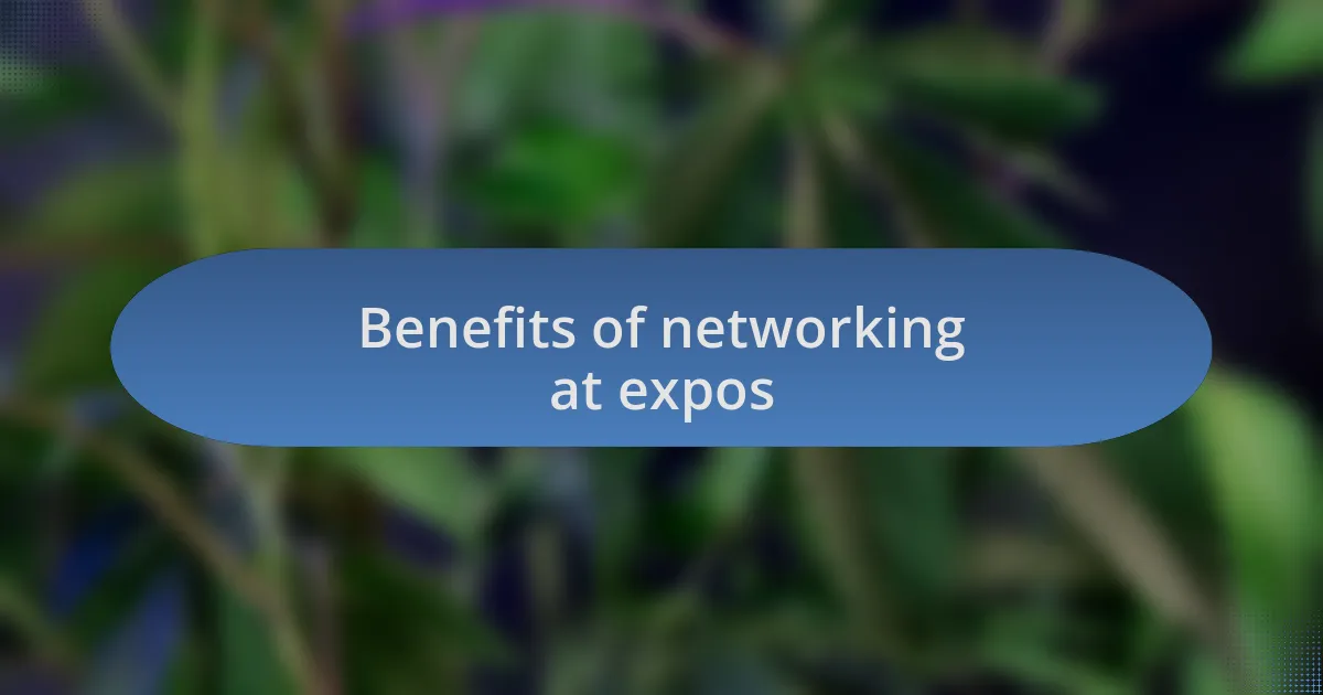Benefits of networking at expos