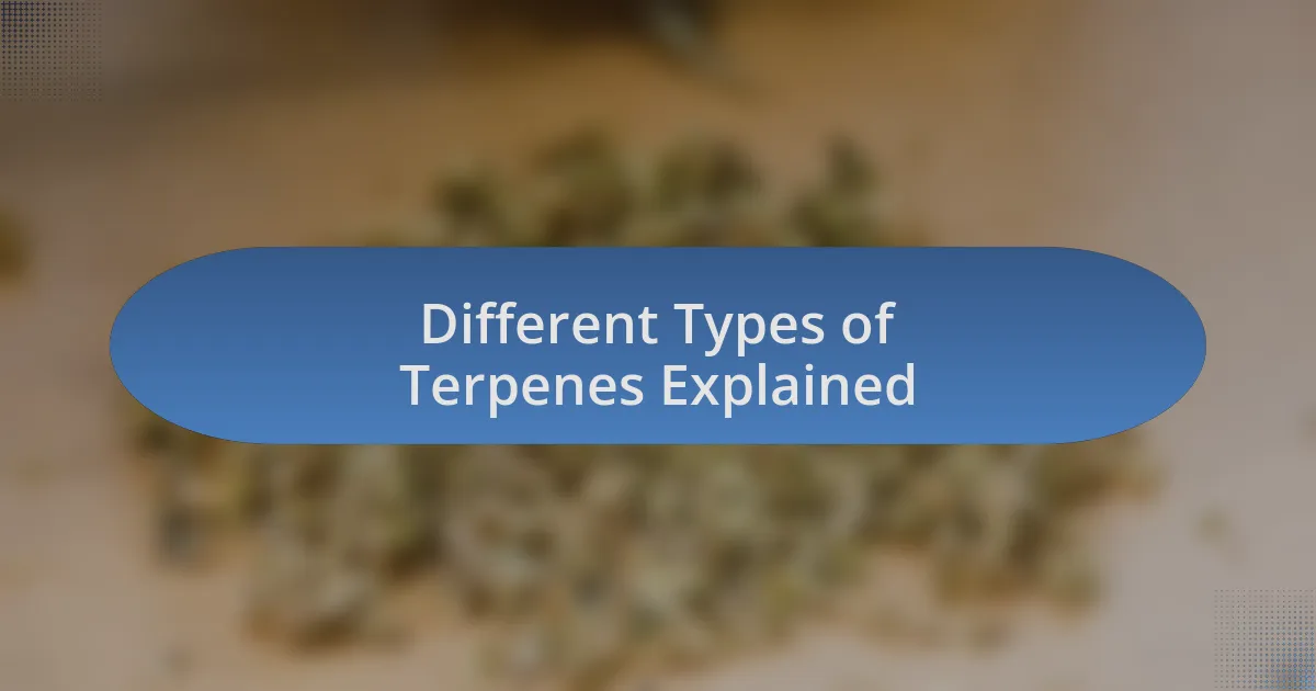 Different Types of Terpenes Explained