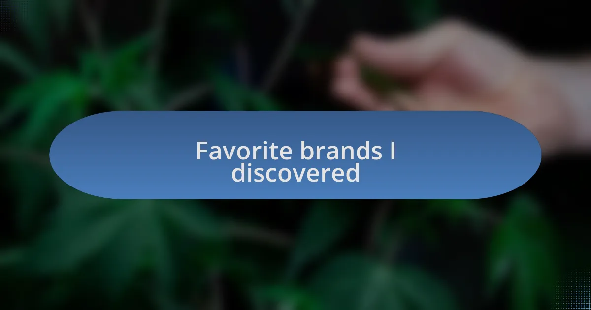 Favorite brands I discovered
