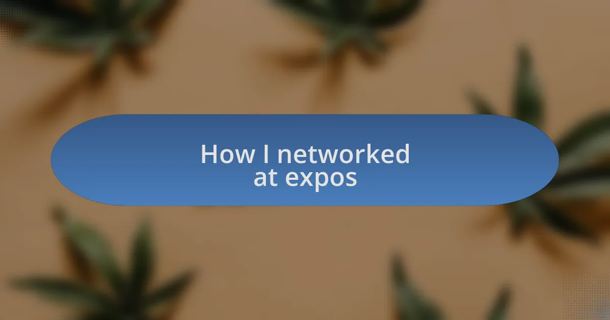 How I networked at expos