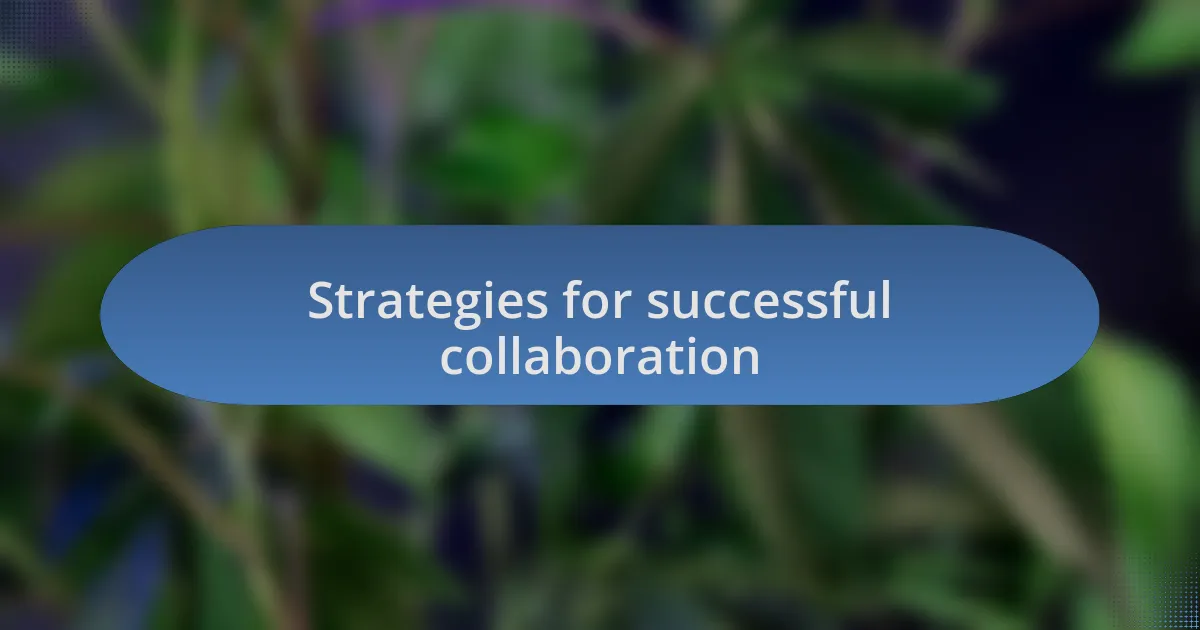 Strategies for successful collaboration